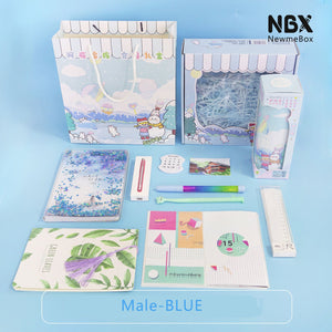 NBX-Briefpapier-Geschenkbox-Paket