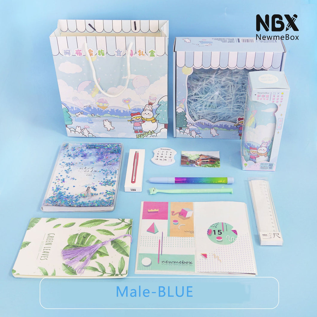 NBX-Briefpapier-Geschenkbox-Paket