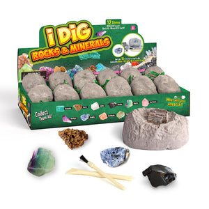 Dig Kit Archaeology Science Stem Gift 12pcs Modell Lernspielzeug Geschenk für Kinder