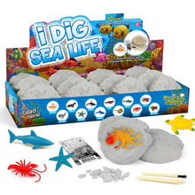 Laden Sie das Bild in den Galerie-Viewer, Dig Kit Archaeology Science Stem Gift 12pcs Modell Lernspielzeug Geschenk für Kinder
